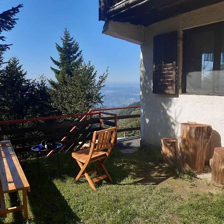 Holiday House Nesovic Копаоник Экстерьер фото