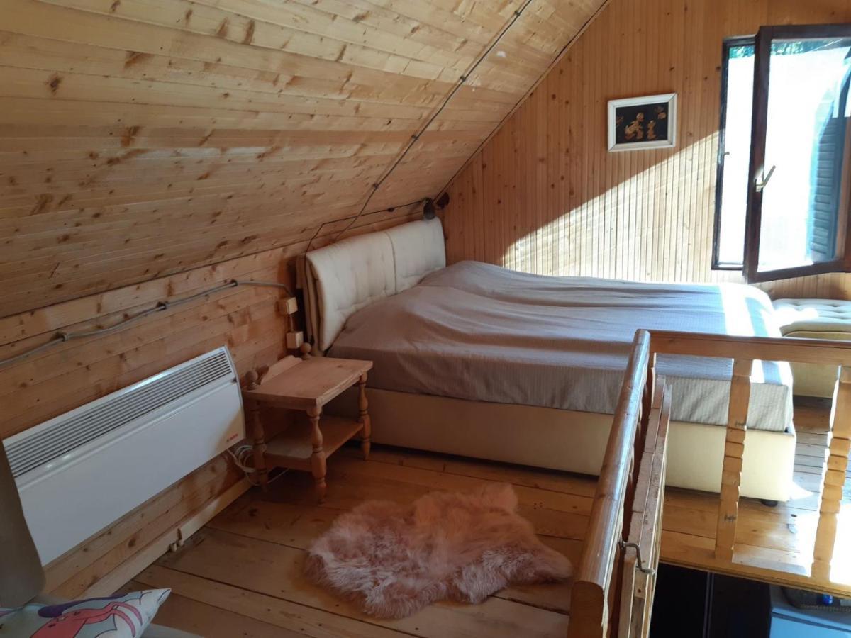 Holiday House Nesovic Копаоник Экстерьер фото