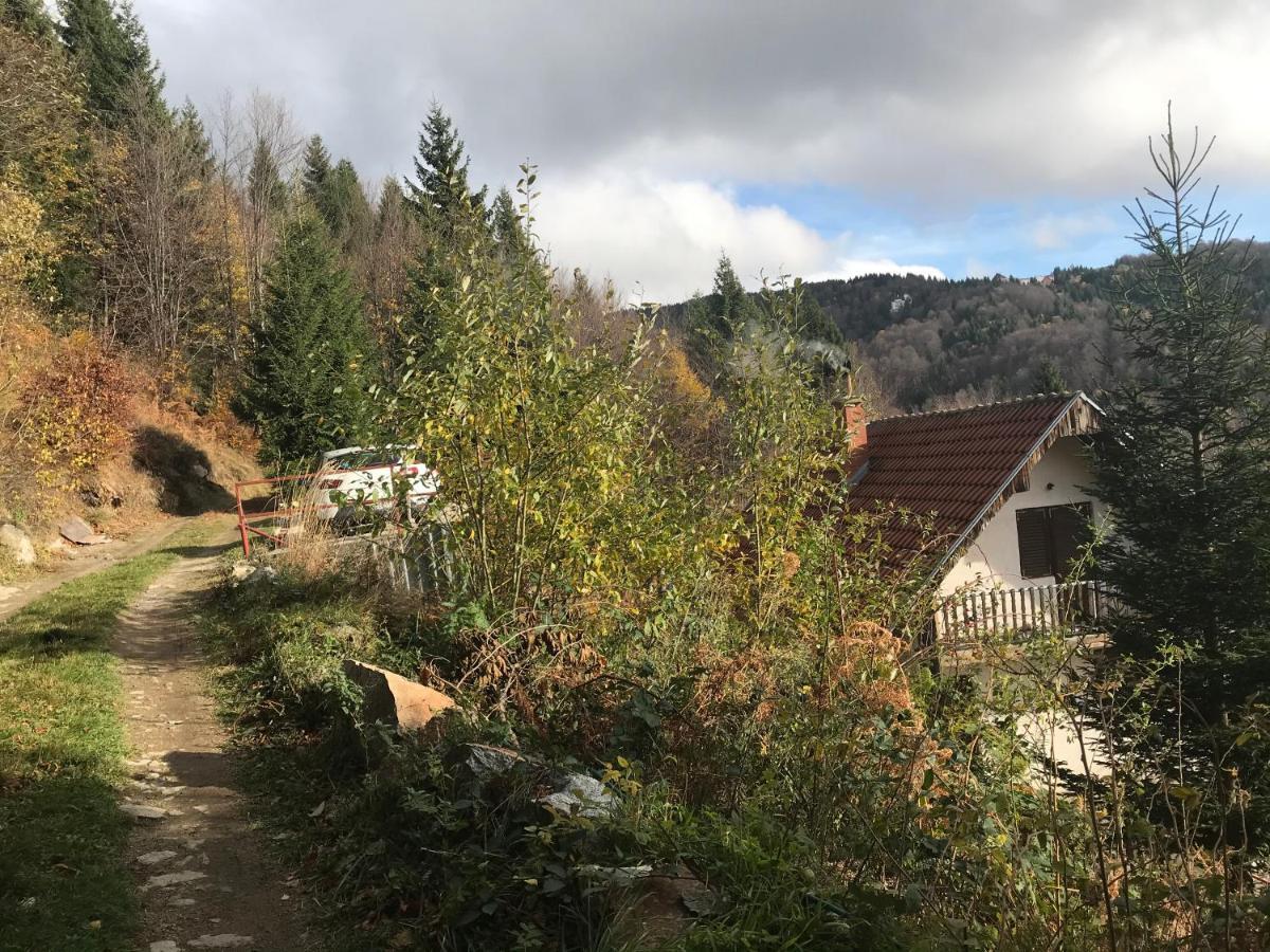 Holiday House Nesovic Копаоник Экстерьер фото