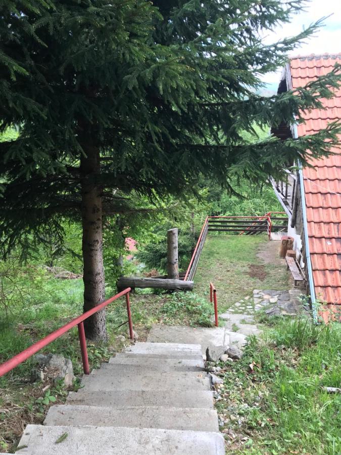 Holiday House Nesovic Копаоник Экстерьер фото